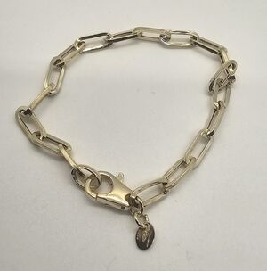 Classic Gold Paperclip Chain Bracelet with Lobster Clasp